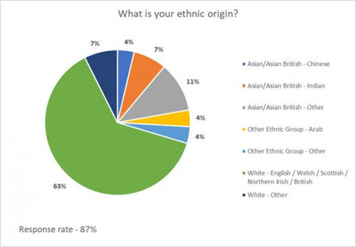 What is your ethnic origin data