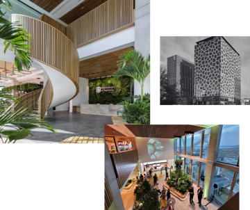 Spaces At The Spine Collage