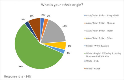 What is your ethnic origin? Council data