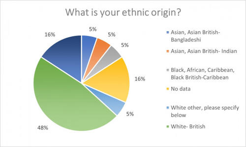 What is your ethnic origin? Staff data