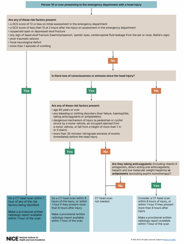 Image 1. head Injury