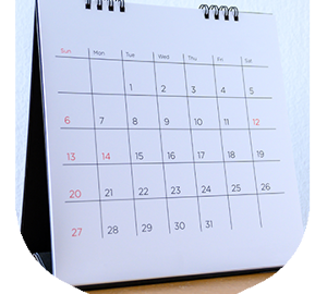 Shiled Image For Web 360X400px Calendar
