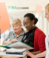 Full Width Banner 1440×760Px Template